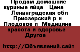 Продам домашние куриные яйца › Цена ­ 150 - Ленинградская обл., Приозерский р-н, Плодовое п. Медицина, красота и здоровье » Другое   